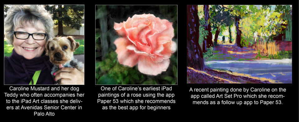 Best Art Apps for Adult Learners