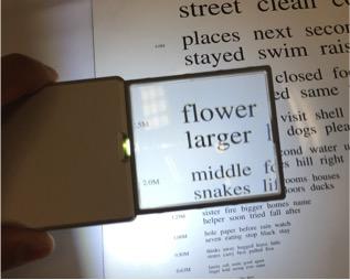 Pocket Magnifier: example 1