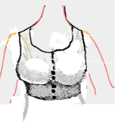 Better Bra for Older Women